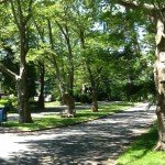 photo-9